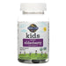 Garden of Life, Kids, Organic Elderberry with Vitamin C, 60 Vegetarian Gummies - HealthCentralUSA