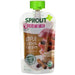 Sprout Organic, Baby Food, 6 Months & Up, Apple Oatmeal Raisin with Cinnamon, 3.5 oz (99 g) - HealthCentralUSA