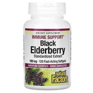 Natural Factors, Black Elderberry, 100 mg, 120 Capsules - HealthCentralUSA
