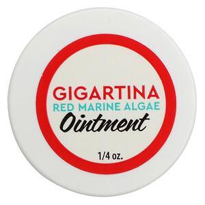 Vibrant Health, Gigartina Red Marine Algae Ointment, 1/4 oz - HealthCentralUSA